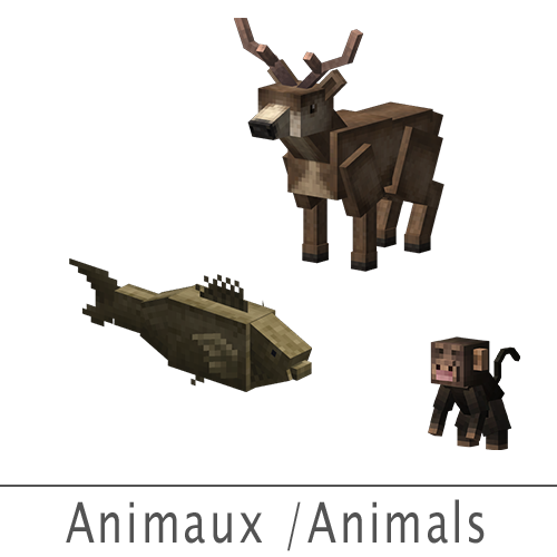animaux 