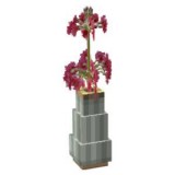 Potted plant