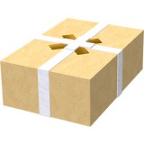 Christmas present