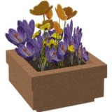Potted plant